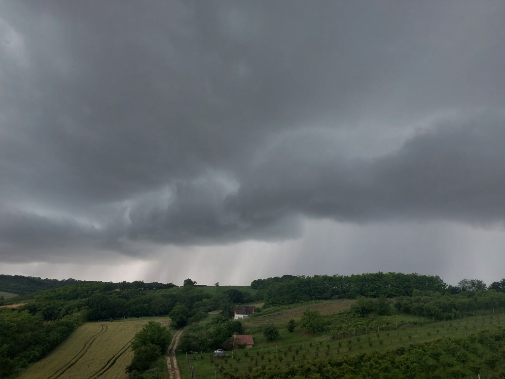 beillesztett kép
