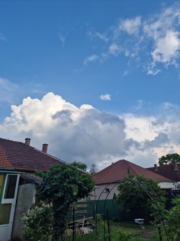beillesztett kép
