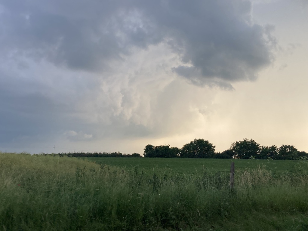beillesztett kép