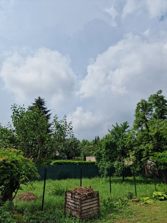 beillesztett kép