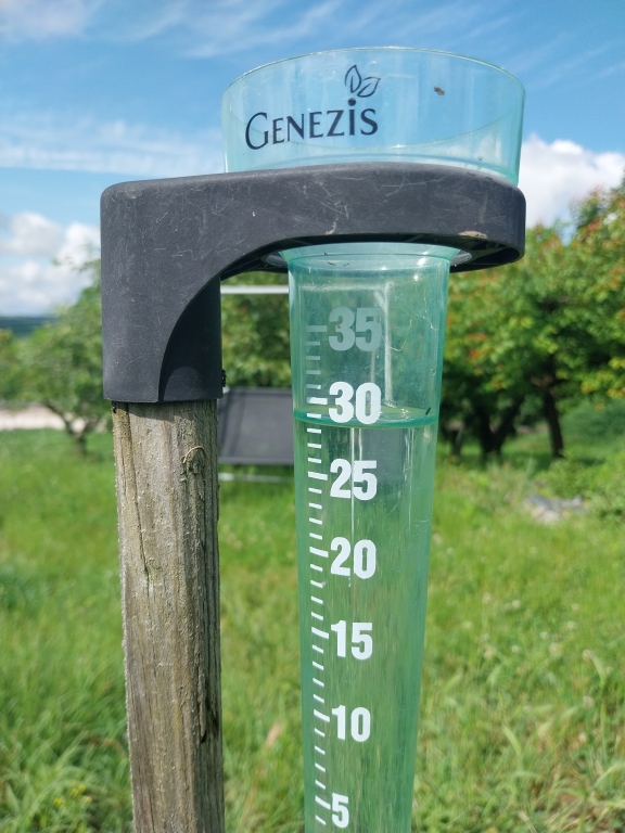 beillesztett kép