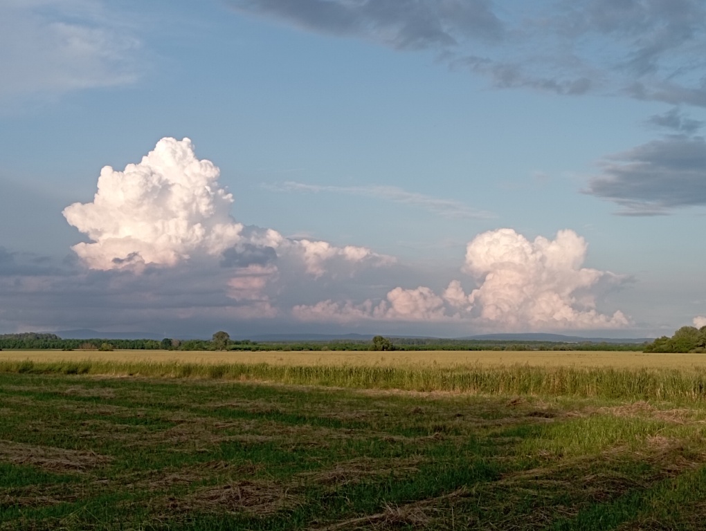 beillesztett kép