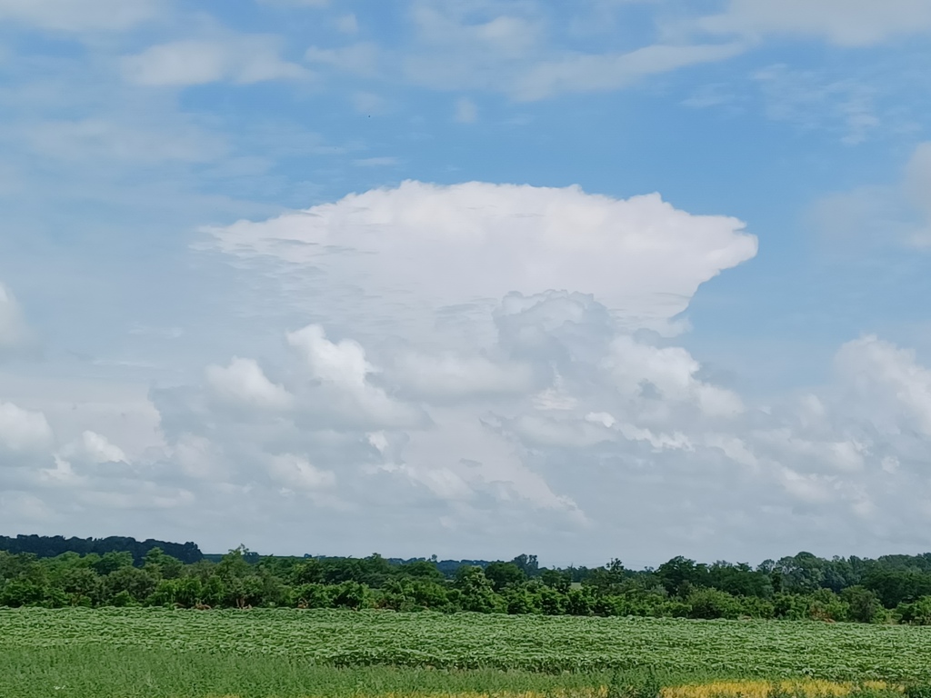 beillesztett kép