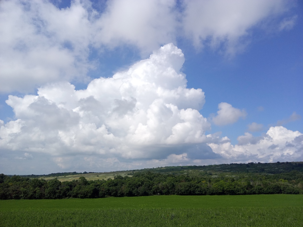 beillesztett kép