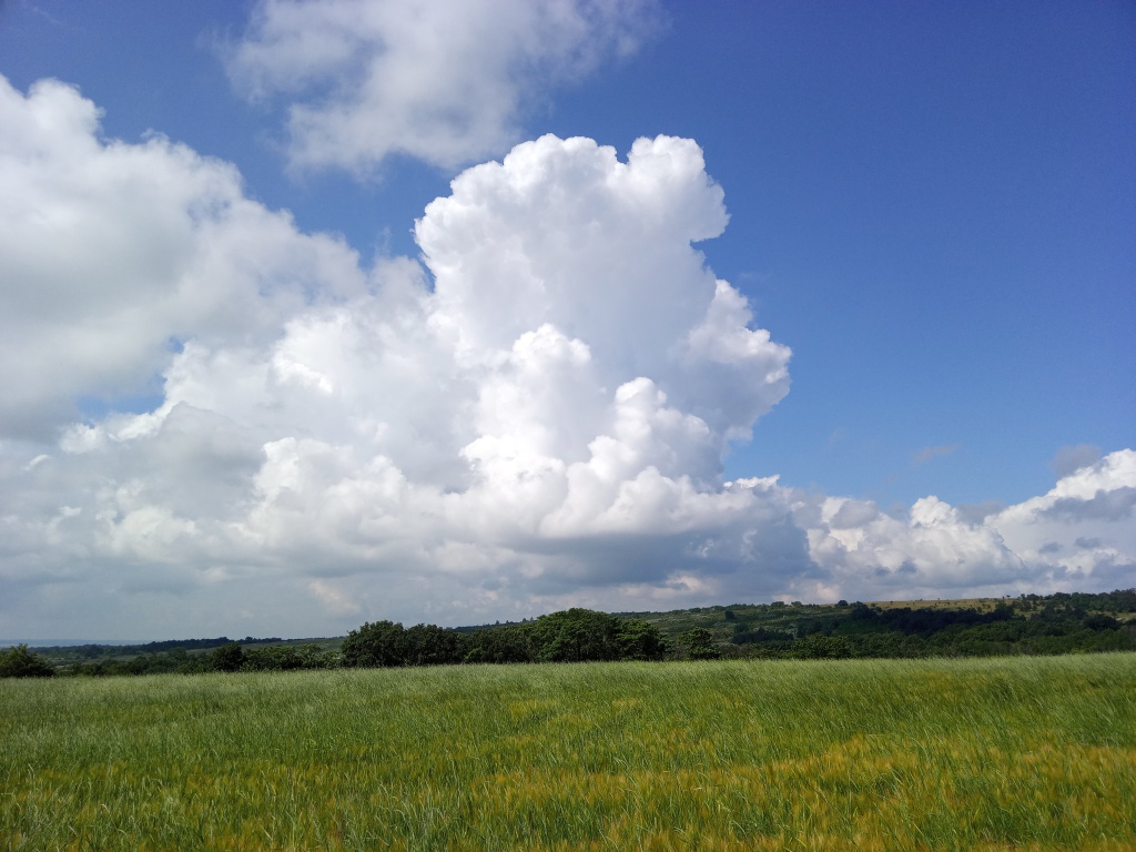 beillesztett kép