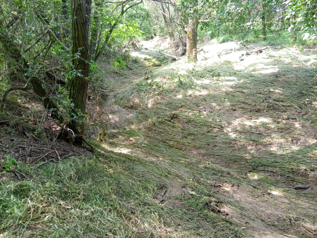 beillesztett kép