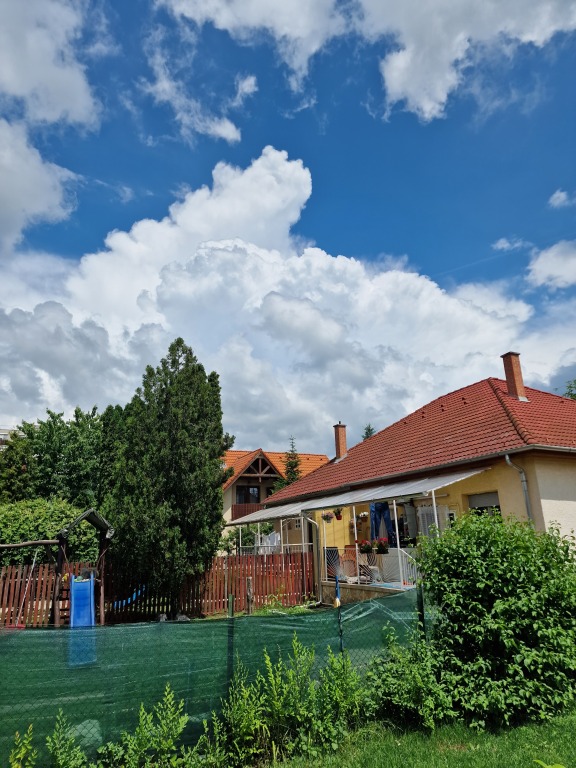 beillesztett kép