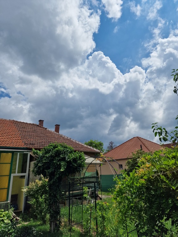 beillesztett kép