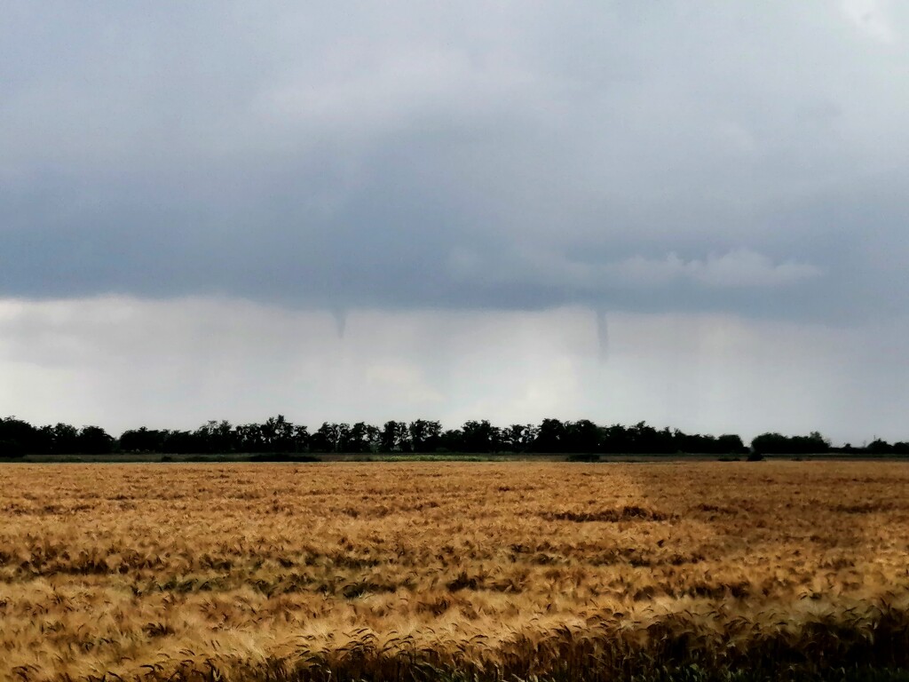 beillesztett kép
