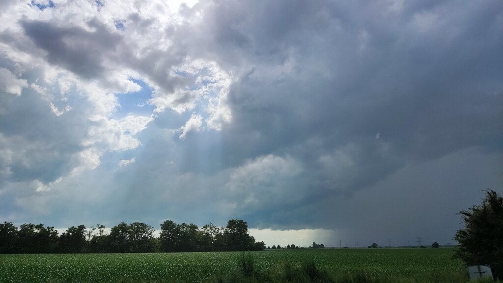 beillesztett kép