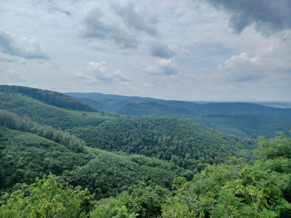 beillesztett kép