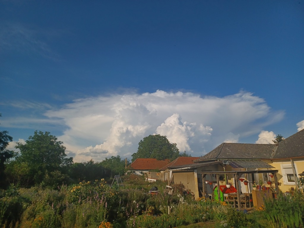 beillesztett kép