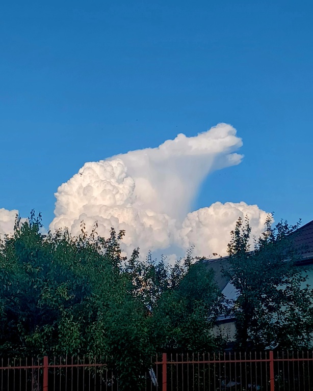 beillesztett kép