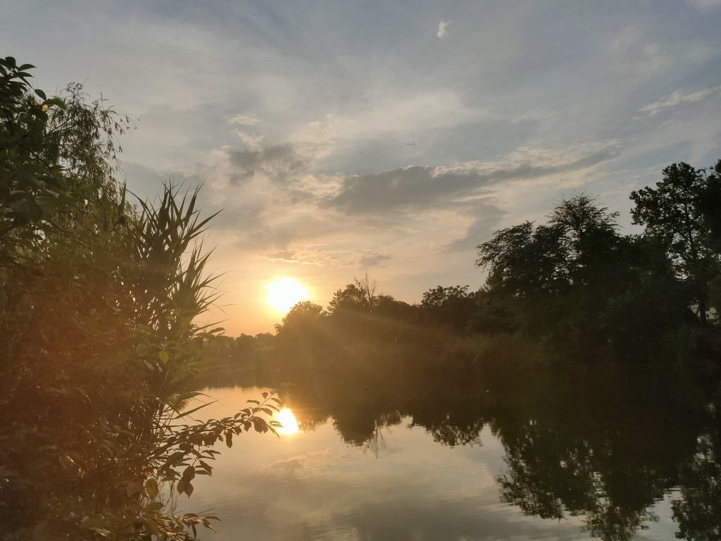 beillesztett kép