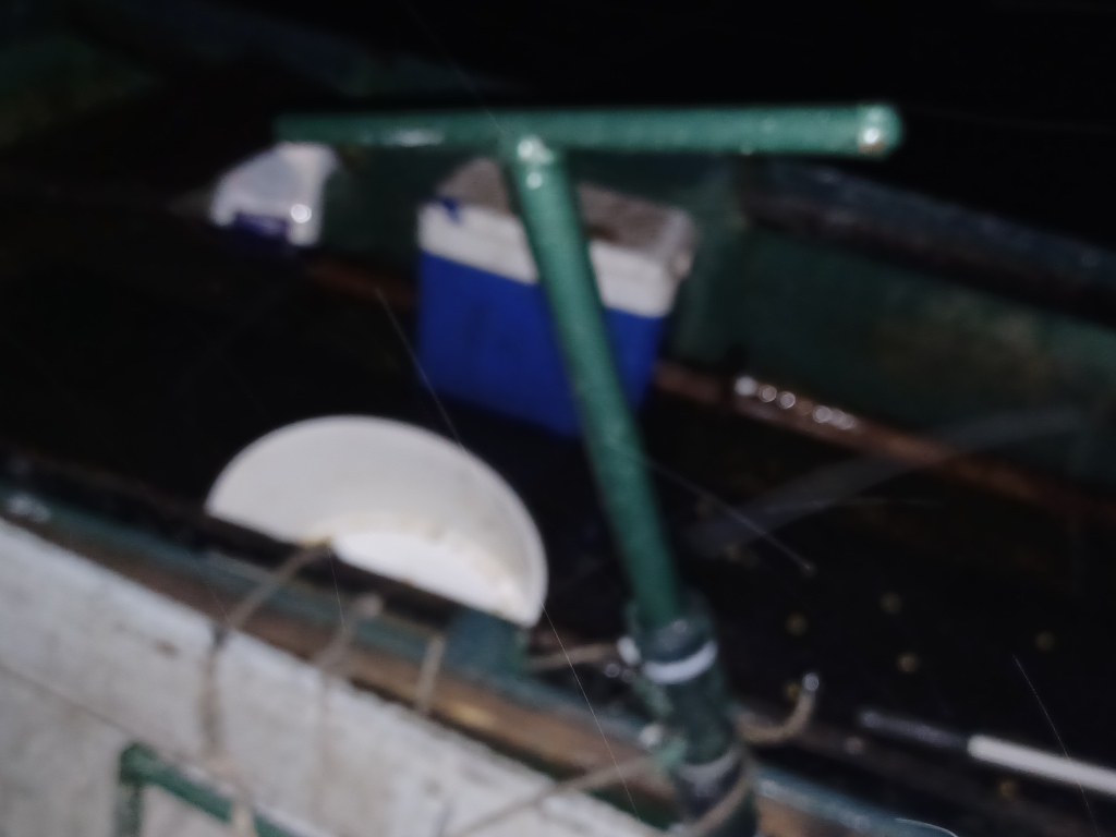 beillesztett kép