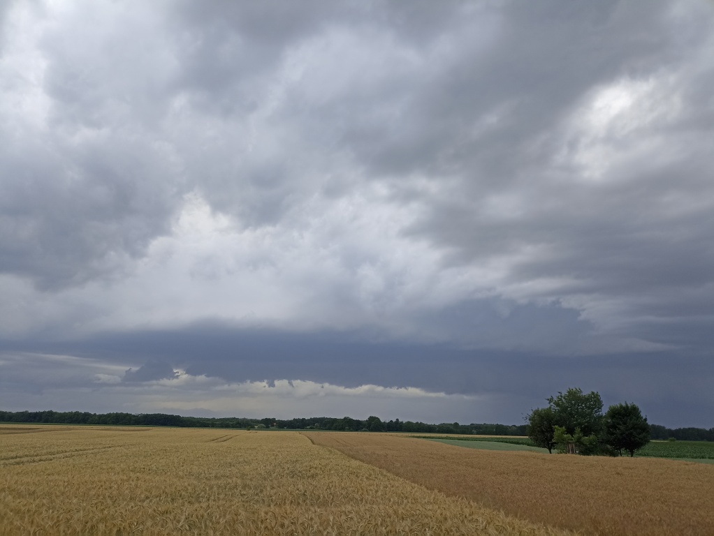 beillesztett kép