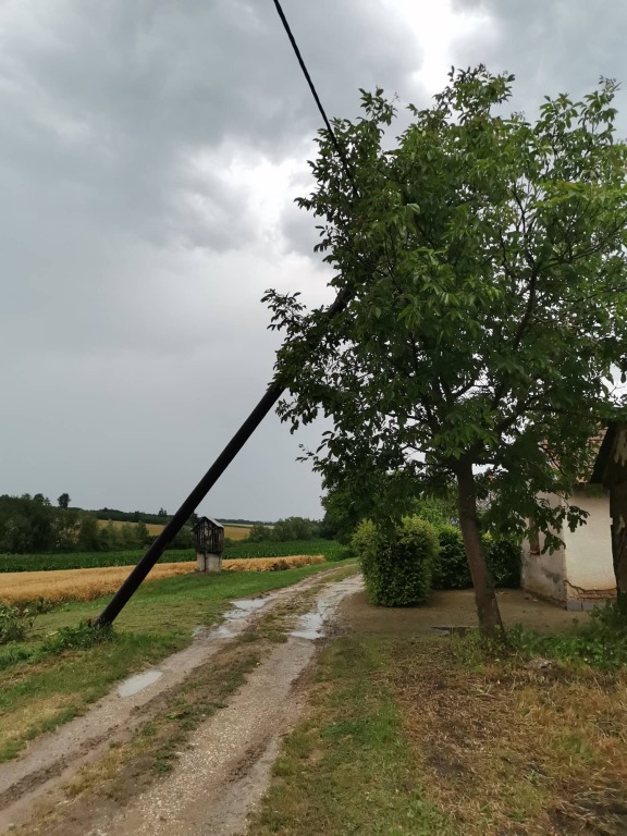 beillesztett kép