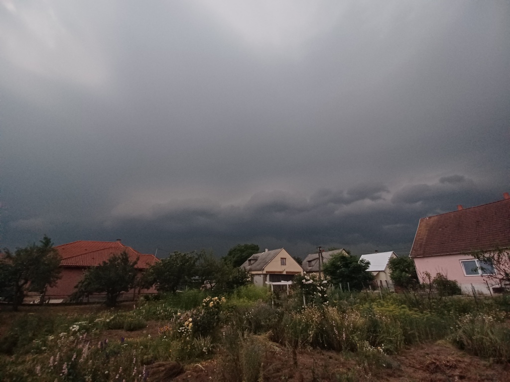 beillesztett kép