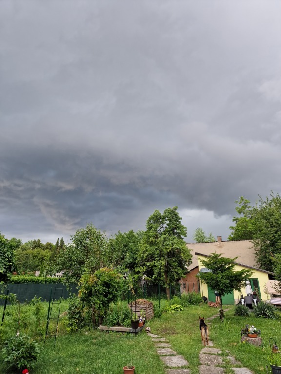 beillesztett kép