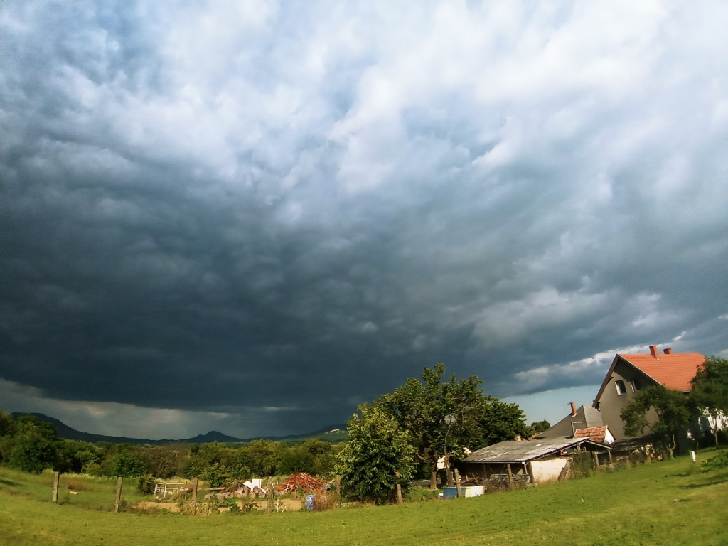 beillesztett kép