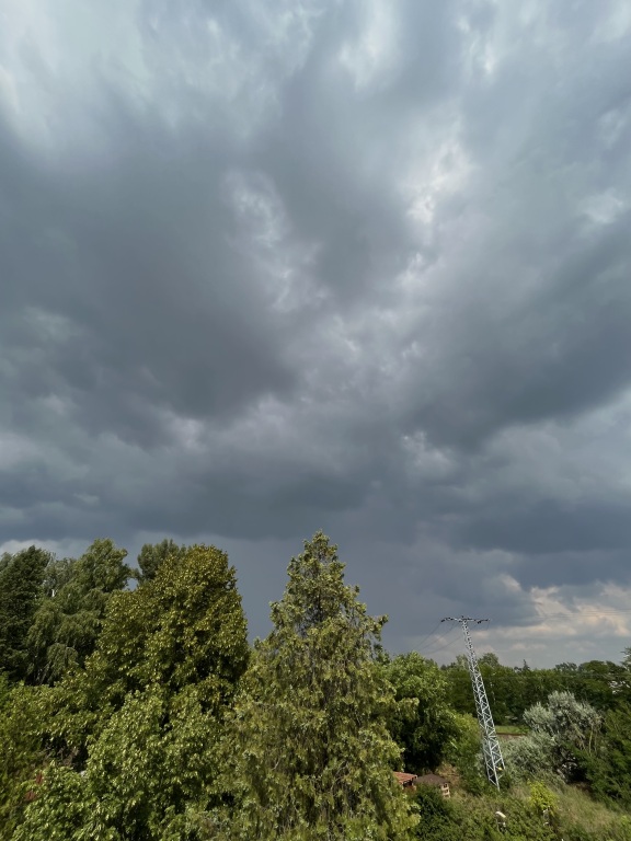 beillesztett kép