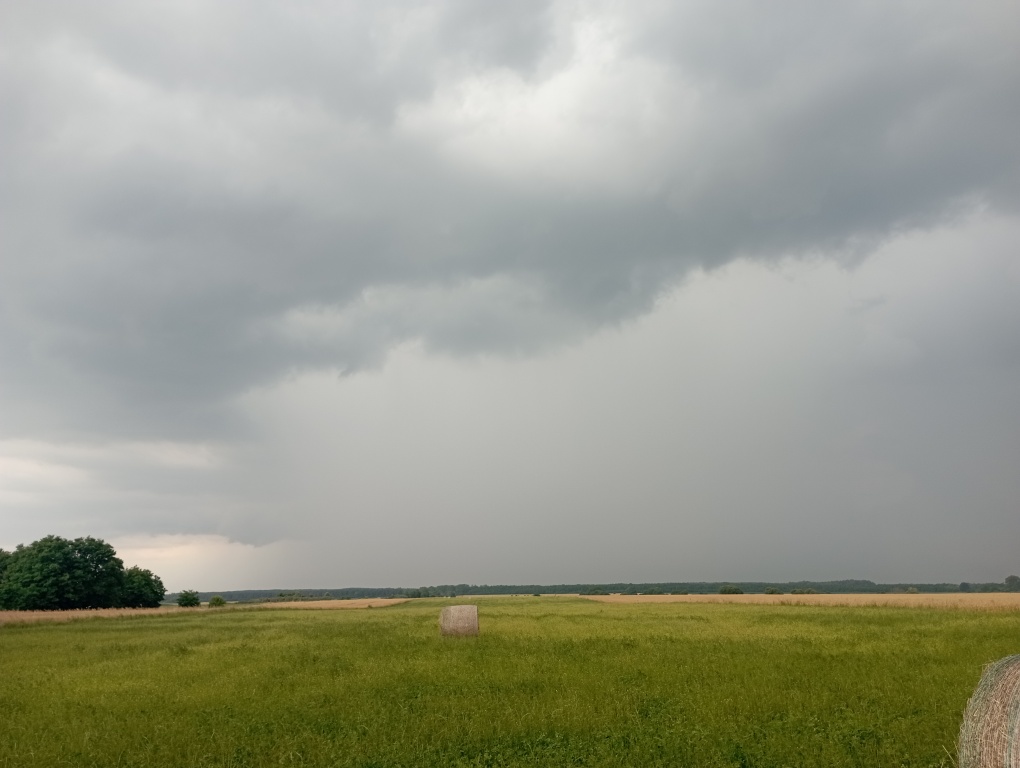 beillesztett kép