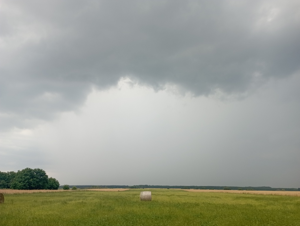 beillesztett kép