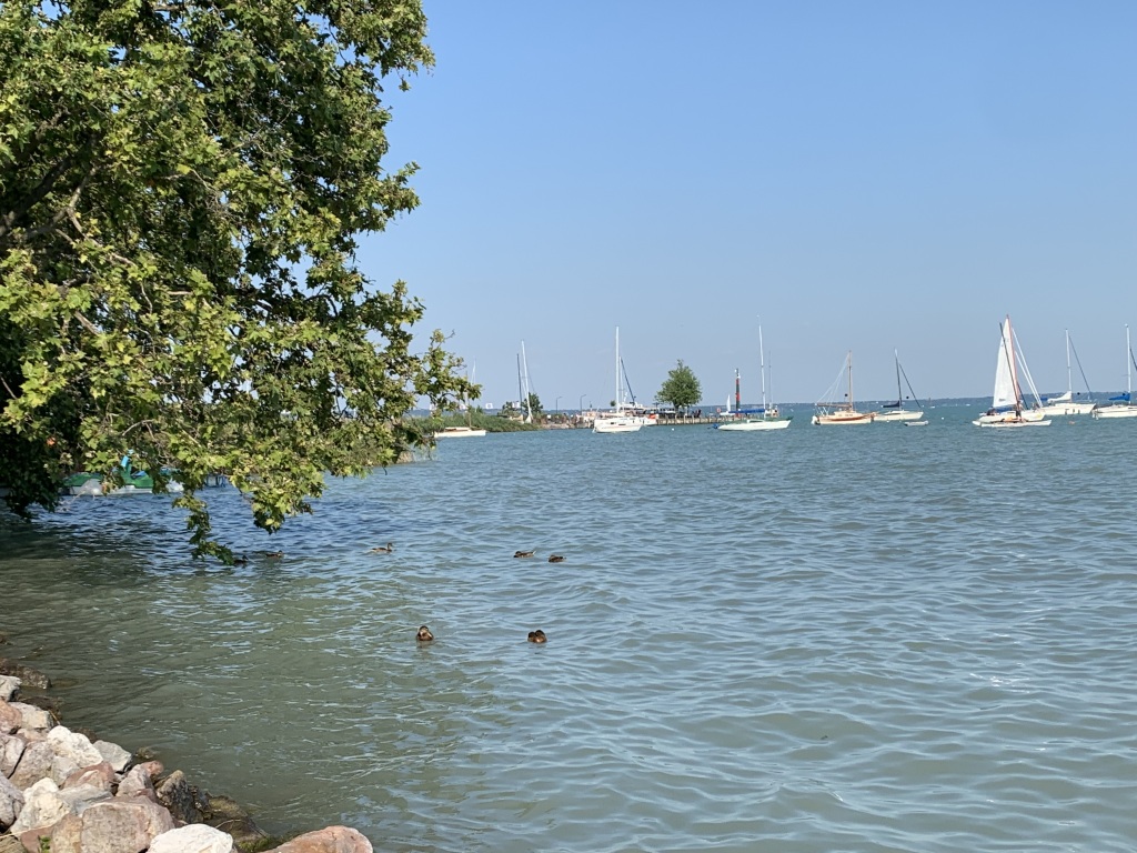 beillesztett kép