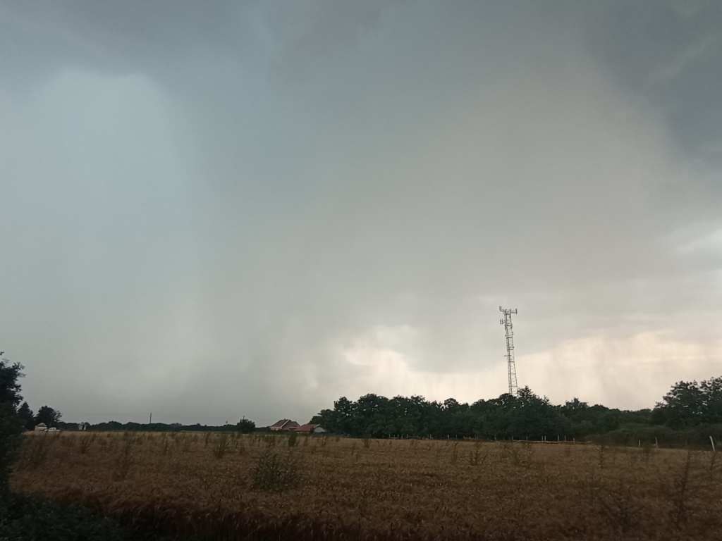 beillesztett kép