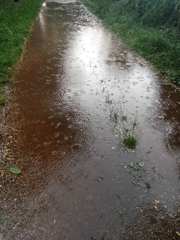 beillesztett kép