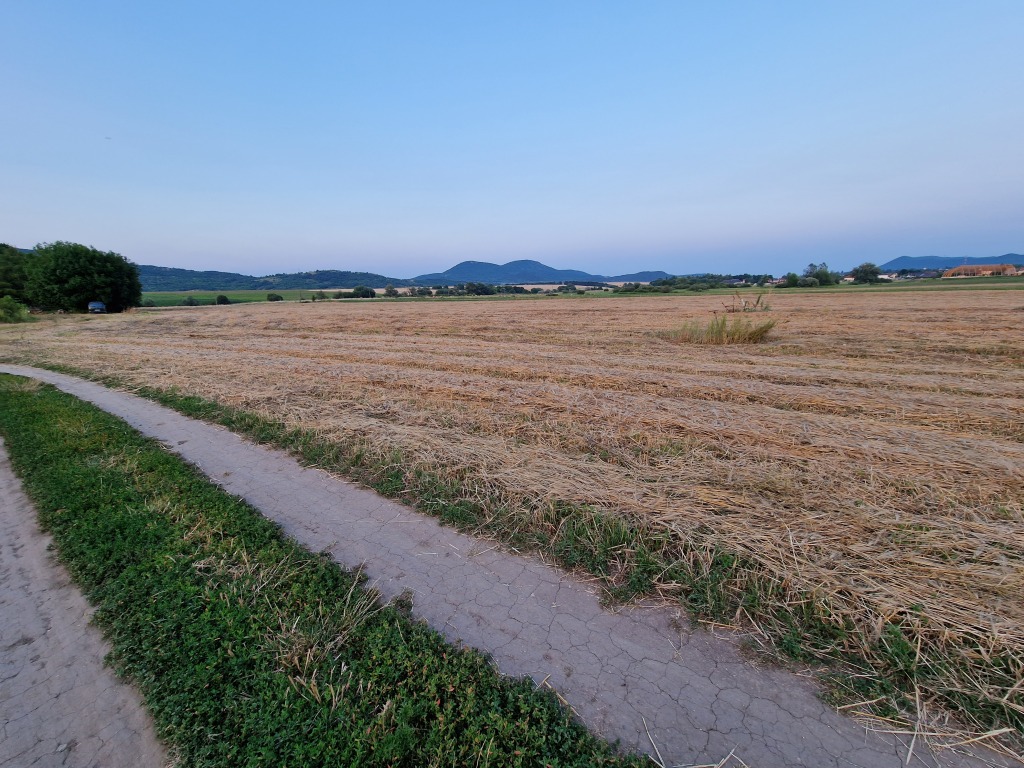 beillesztett kép