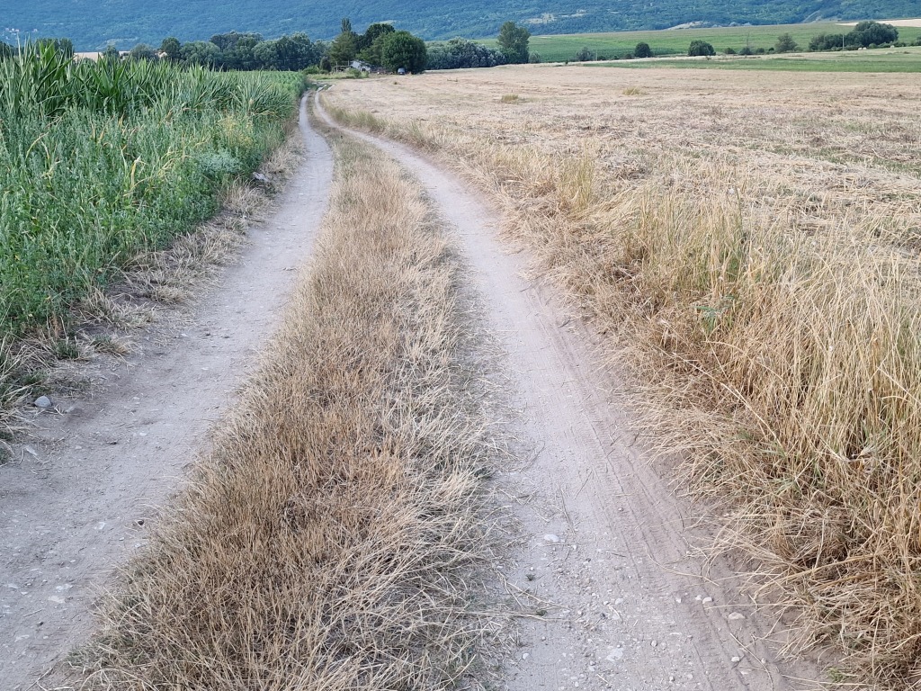 beillesztett kép