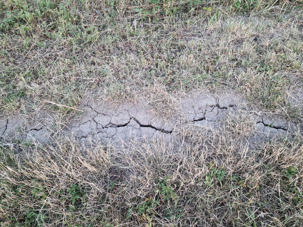 beillesztett kép