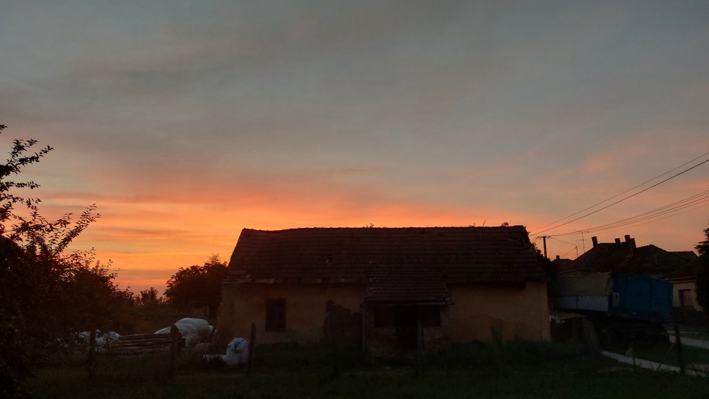 beillesztett kép