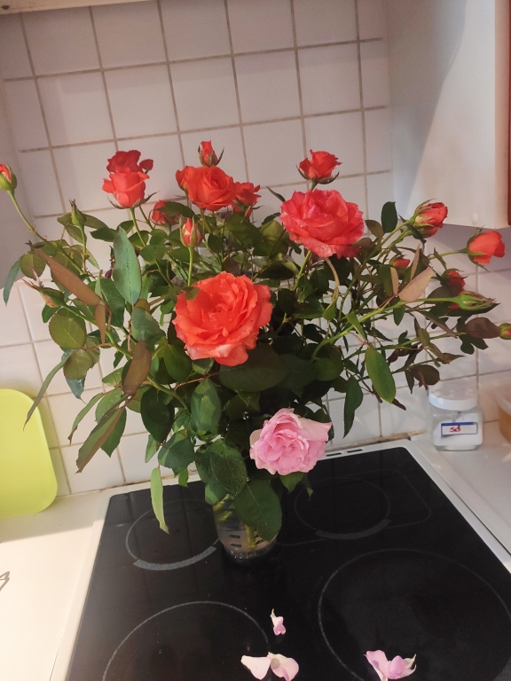 beillesztett kép