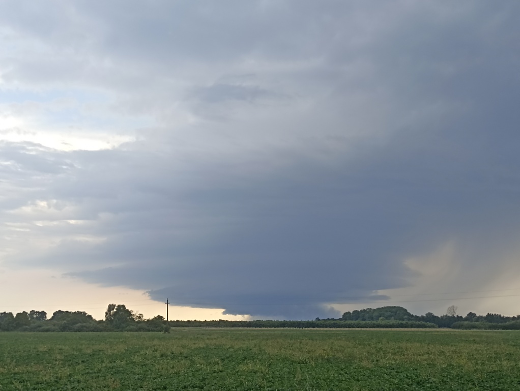 beillesztett kép