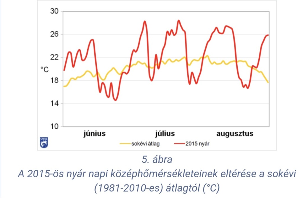 beillesztett kép
