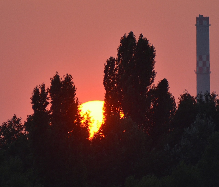beillesztett kép