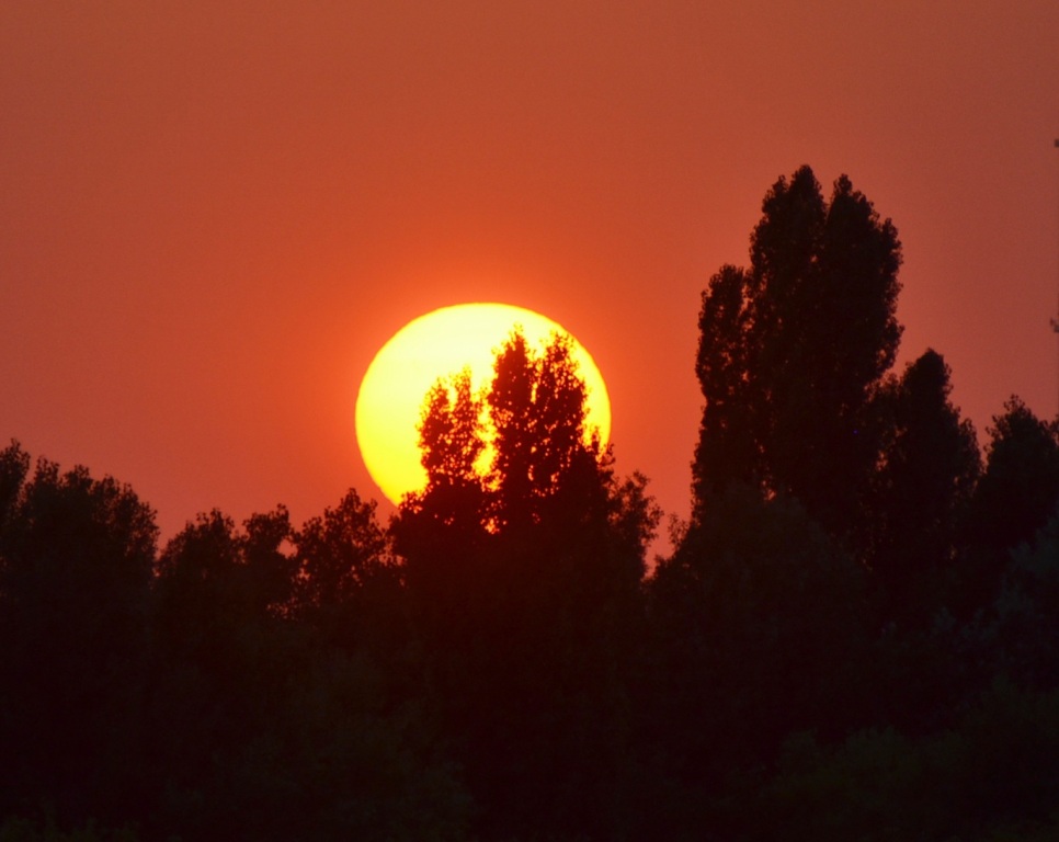 beillesztett kép