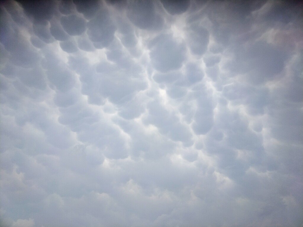 beillesztett kép
