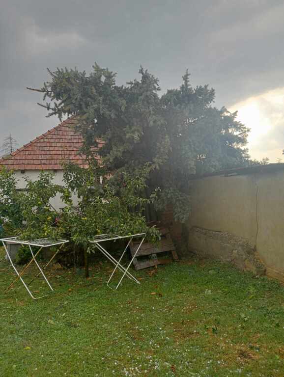 beillesztett kép