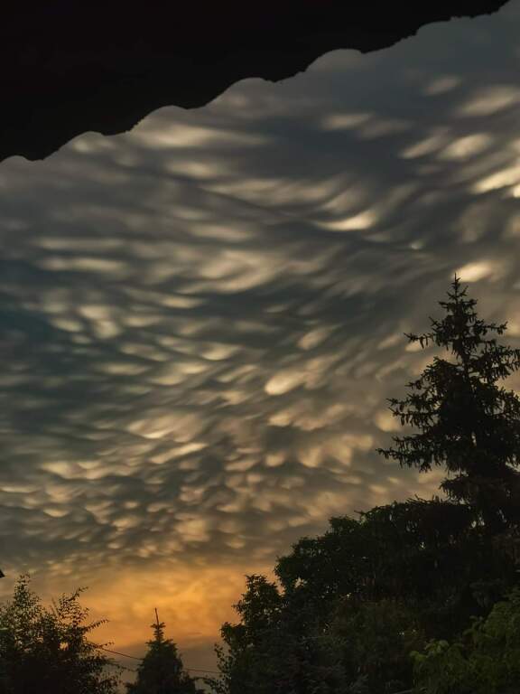 beillesztett kép