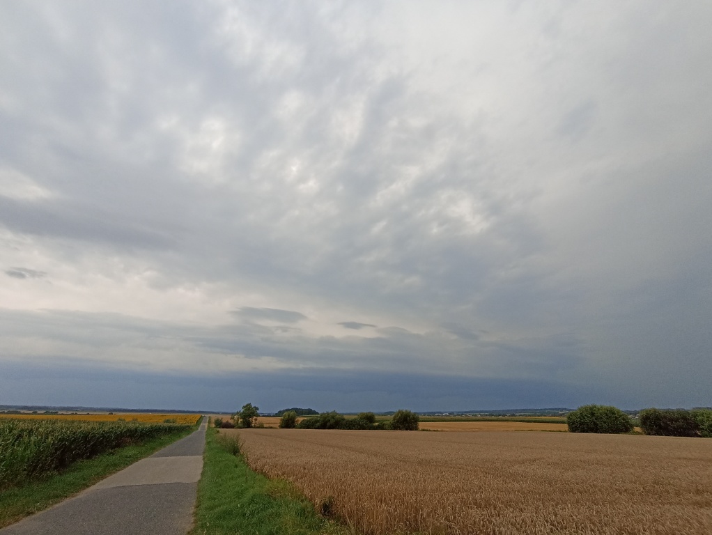 beillesztett kép