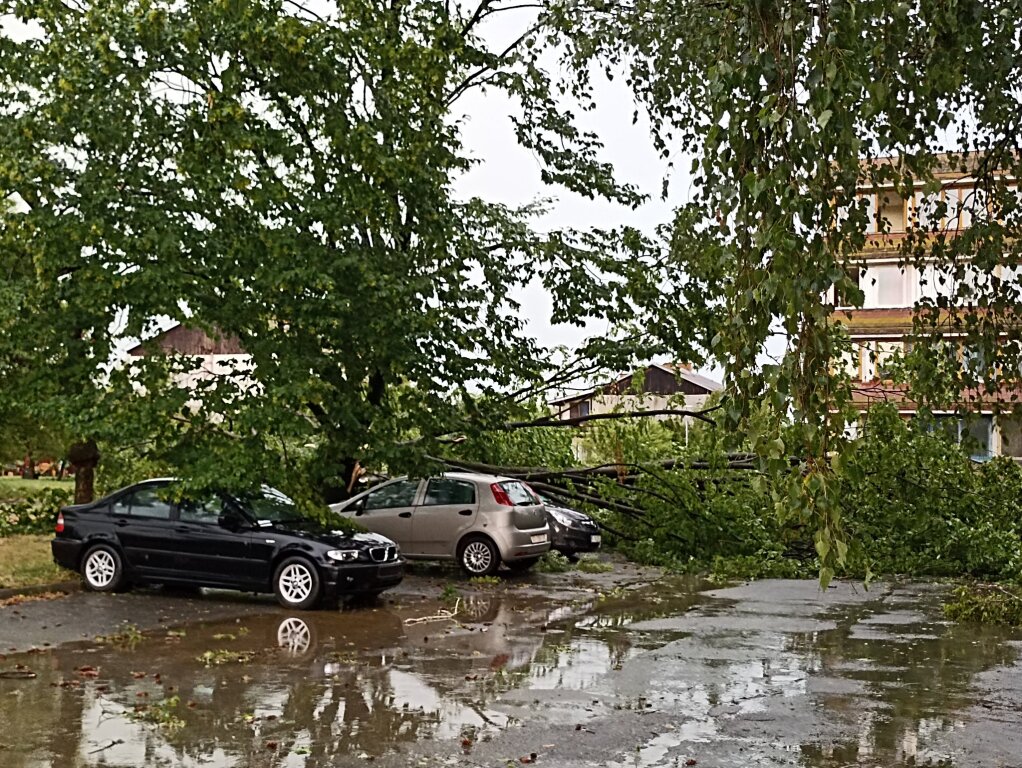 beillesztett kép