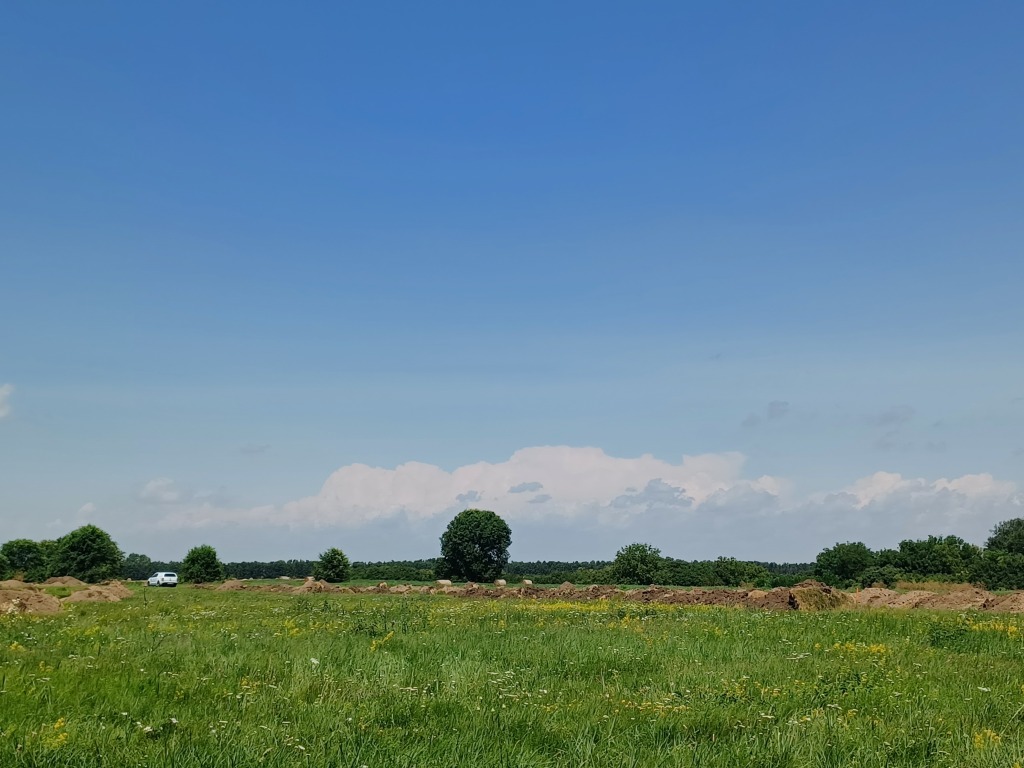 beillesztett kép