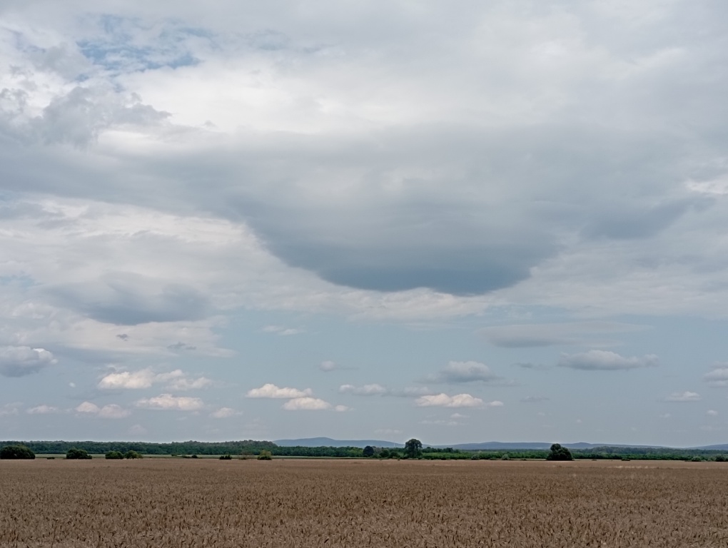 beillesztett kép
