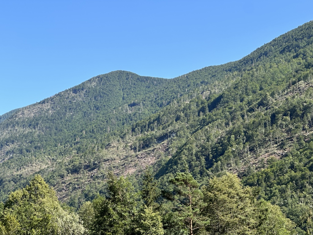 beillesztett kép