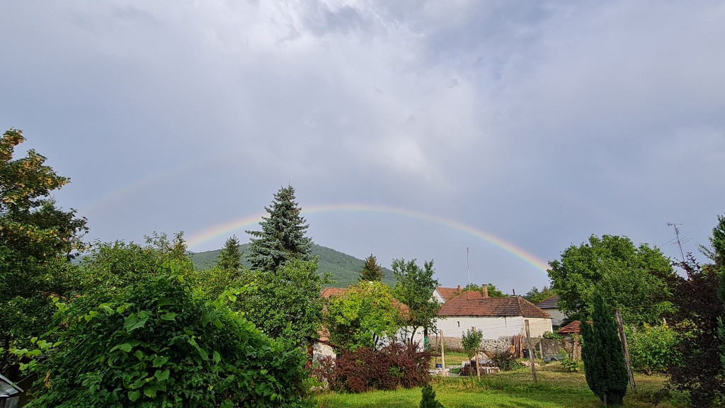 beillesztett kép