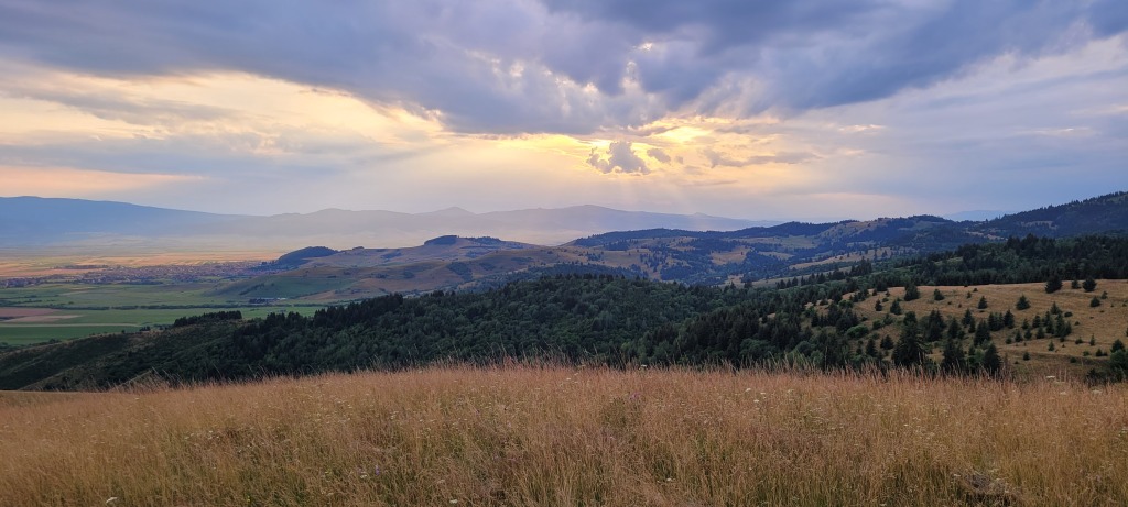 beillesztett kép