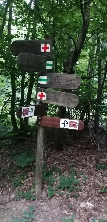 beillesztett kép